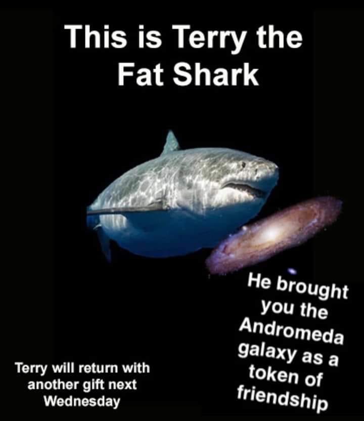 JFKtheShark's tweet photo. As compensation for me not tweeting recently https://t.co/Rsh01FDWdh