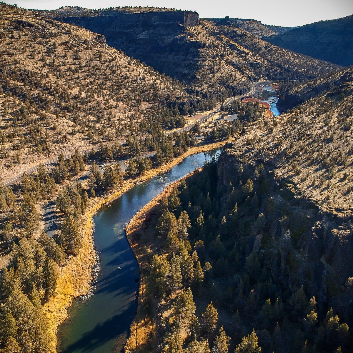 Beautiful Oregon tweet media