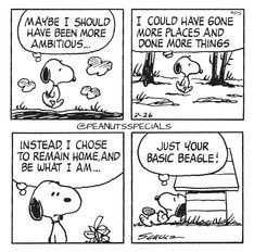 ShennyWalrond's tweet image. Oskar I think it’s guud to jus be a #basicbeagle 👍🏻 🐾❤️