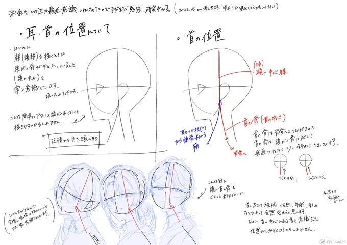マシュマロで頂いた耳、首の位置、横顔についての説明になります。
永遠勉強中なので、これから変わるかもしれませんが、現時点での考え方をまとめてみました。 