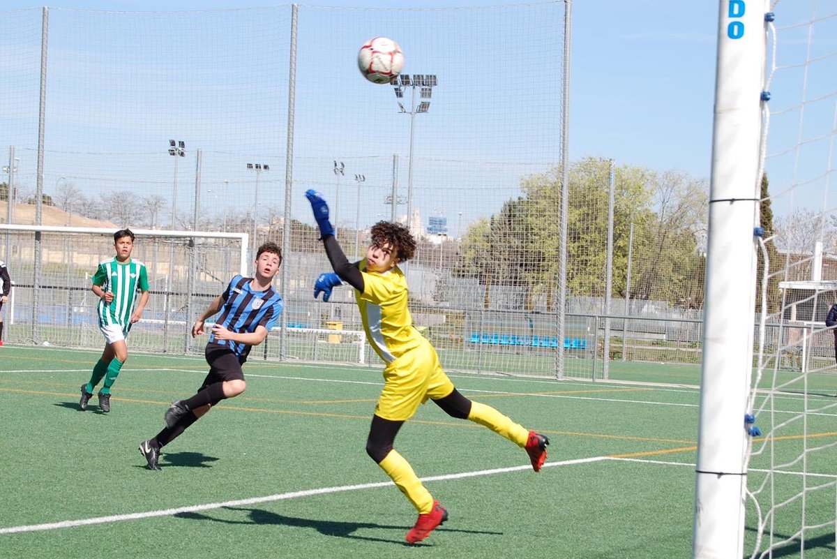 madridsurlatina's tweet photo. 📊JUVENIL “B” 
Victoria 6-1 ante @Betis_SanIsidro “B” hoy en 🏟Los Cármenes (⚽️2 Cobo, 2 Juan, Cesar y Jose Díaz). El equipo de Jose Jurado confirma su buena línea de las últimas semanas con una solvente victoria. #vamossurla🔵⚫️ https://t.co/mZBvdVhgpc