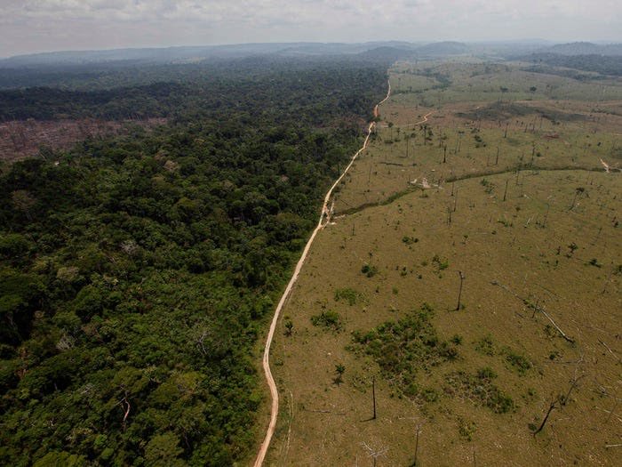 energyisle's tweet photo. Brazil's president, has expressed plans to cut down more of the Amazon, prompting concerns from scientists & indigenous people. Itβs tragic that within a lifetime we have watched as huge areas of #nature & #forestry have been devastated in the π Andre Penner, File/AP #climate https://t.co/p4lWvUI9Gi