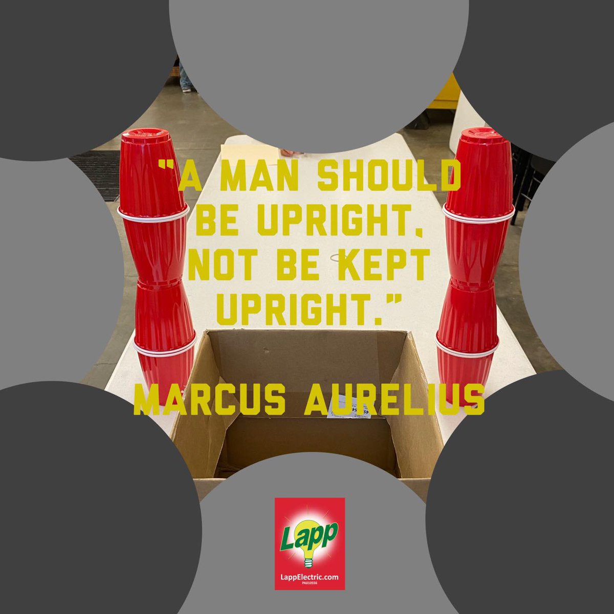 LappElectric's tweet photo. “A man should be upright, not be kept upright.”
- Marcus Aurelius
#LappElectricSundayInspiration #SundayInspiration #NoJobTooSmall #PoweredByPeople #ResidentialElectrician #CommercialElectrician #IndustrialElectrician #ElectricalContractor #LancasterPA #LancasterPAElectrician https://t.co/eiR8twxLKo