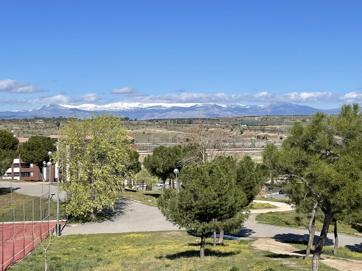 El jardín que quieres tweet media