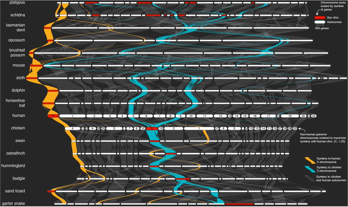 John Lovell tweet media