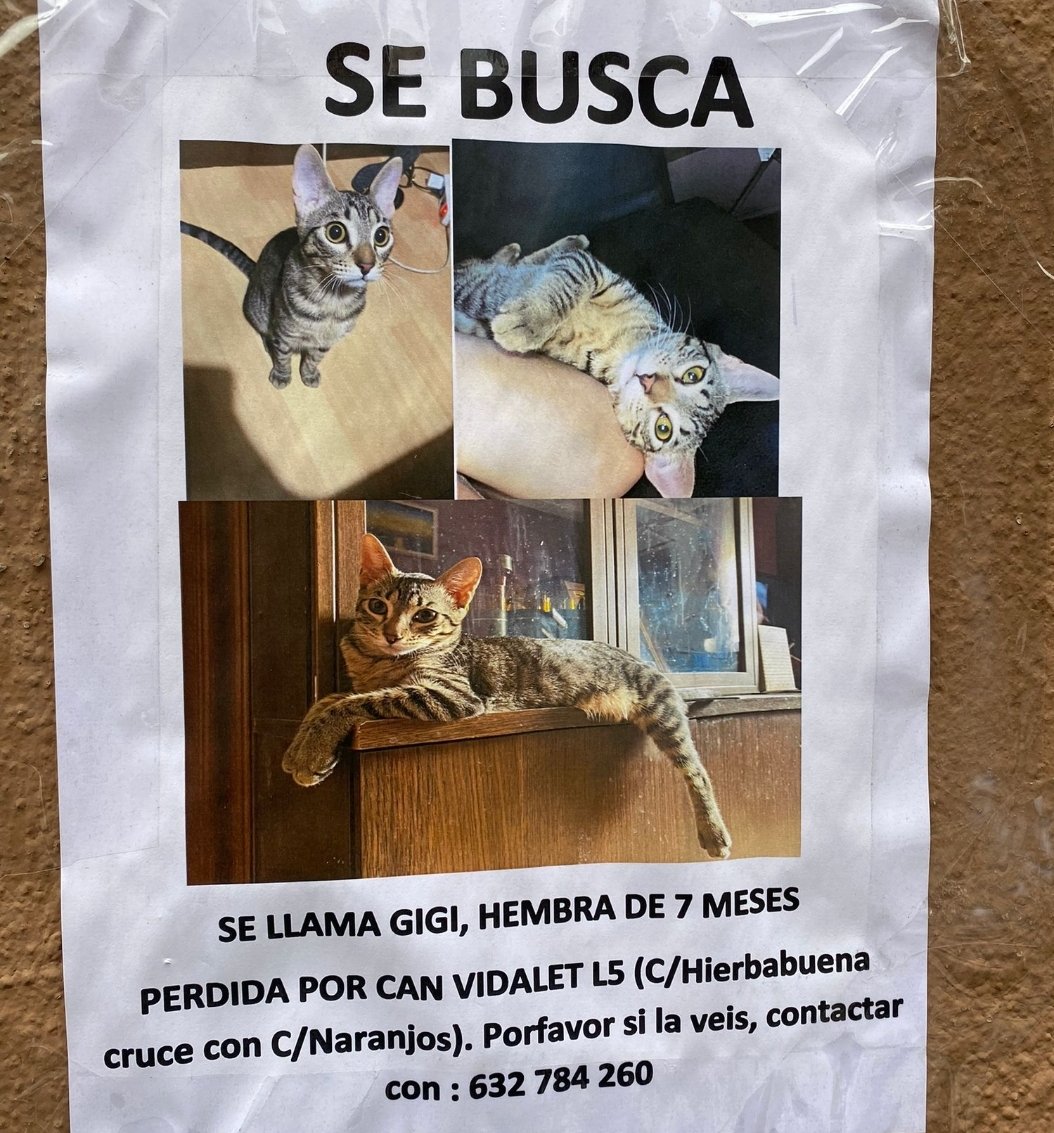 Perduts trobats🐕🐈Catalunya tweet media