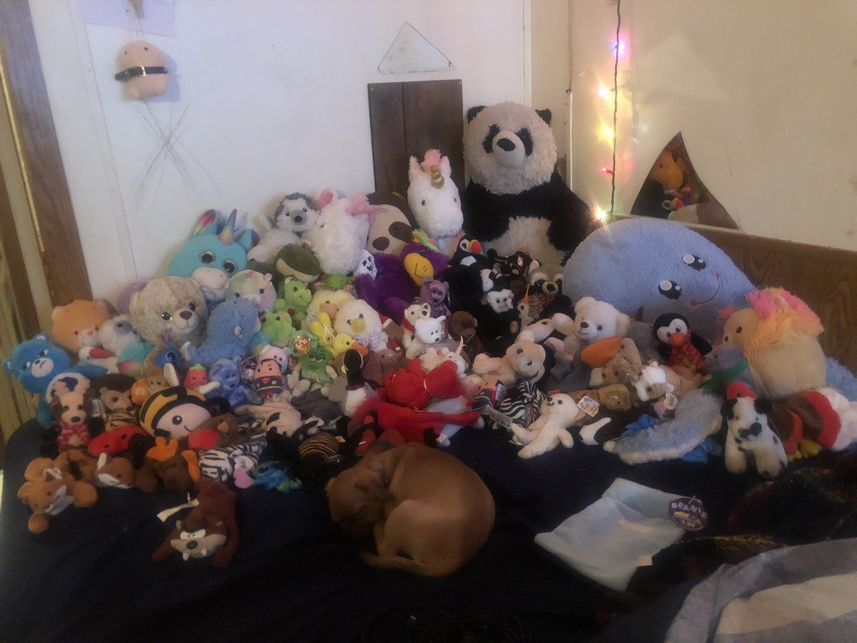 star_flower20's tweet photo. look how cute stevie is laying with my stuffed animals #pugpuppys #adorable #puppy #pugs #stuffedanimals #roomdecore #squishmallows https://t.co/YYDfKXY9pb