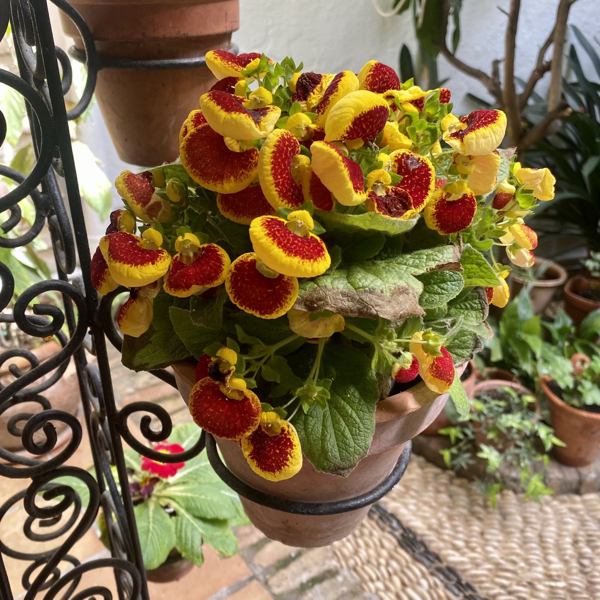 Jamie Jones tweet media