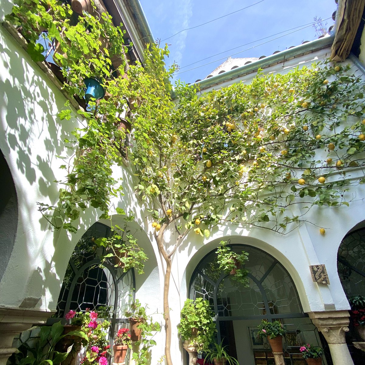 Jamie Jones tweet media