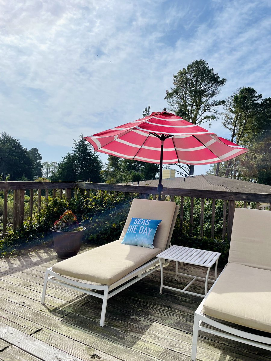 Bodegabayinn's tweet photo. Sending everyone #sundayvibes ☀️

We’re just #relaxing here at the ocean, hope to see you soon! 🌸

#BodegaBay #getaway #Californiacoast #sonomacoast https://t.co/KykdGGbKFu