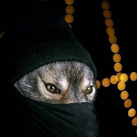 #NouvellePhotoDeProfil