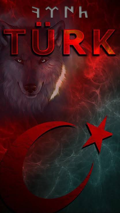 gkhnttrr's tweet photo. @Ajvan__ @akose1980 @BNONews This is TÜRK 😎 you may not understand  cause of the capacity of your brain ( if it’s even exist ) https://t.co/SbNJZy2Xyv