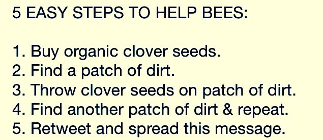 Help #bees beechat #pollinatorchat #gardenchat #food #environment