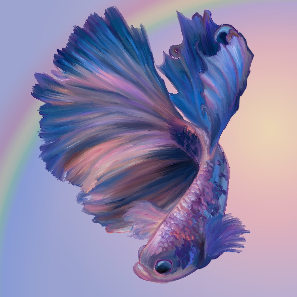 AscensionShiba's tweet photo. New pinned! 💖✨🌈
Thank you guys so much for all your support!
Purchase here: https://t.co/VCAP4gpixj
Introducing the new FISH!

#NFTs #NFTCommmunity https://t.co/n3TUf3xnGz