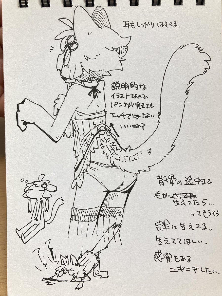 しっぽは付けしっぽとかじゃなくて、尾てい骨が途中から持ち上がってニョキッと伸びてる感じなのかもしれないっていうのを説明するための絵なのでパンツが見えてもエッチではない。いいね?尾てい骨から急にもさぁじゃなくて、腰から上らへんから背骨に沿ってもふもふが生えてるかもしれない。 