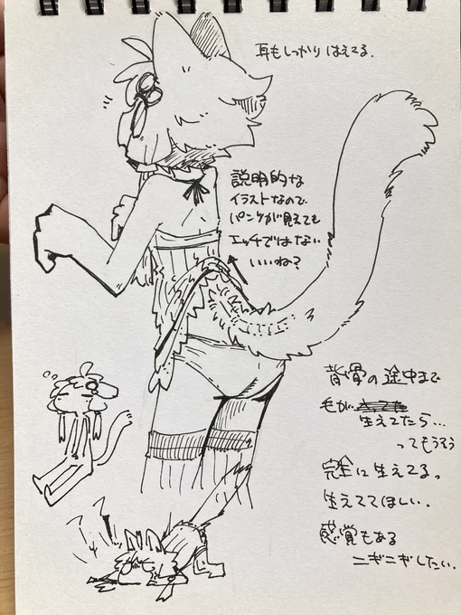 しっぽは付けしっぽとかじゃなくて、尾てい骨が途中から持ち上がってニョキッと伸びてる感じなのかもしれないっていうのを説明するための絵なのでパンツが見えてもエッチではない。いいね?尾てい骨から急にもさぁじゃなくて、腰から上らへんから背骨に沿ってもふもふが生えてるかもしれない。 