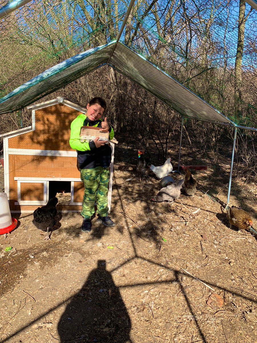 MrsWilson2004's tweet photo. Just day on the farm … I mean just another day at @EarhartUSD259! I stopped by to check on the chickens and a student offered to collect the eggs. He collected 14 in all! That’s what happens when you’re playing disc golf at the right time! #MagnetFocus #WPSProud #omelette https://t.co/8jSWnLkJjx