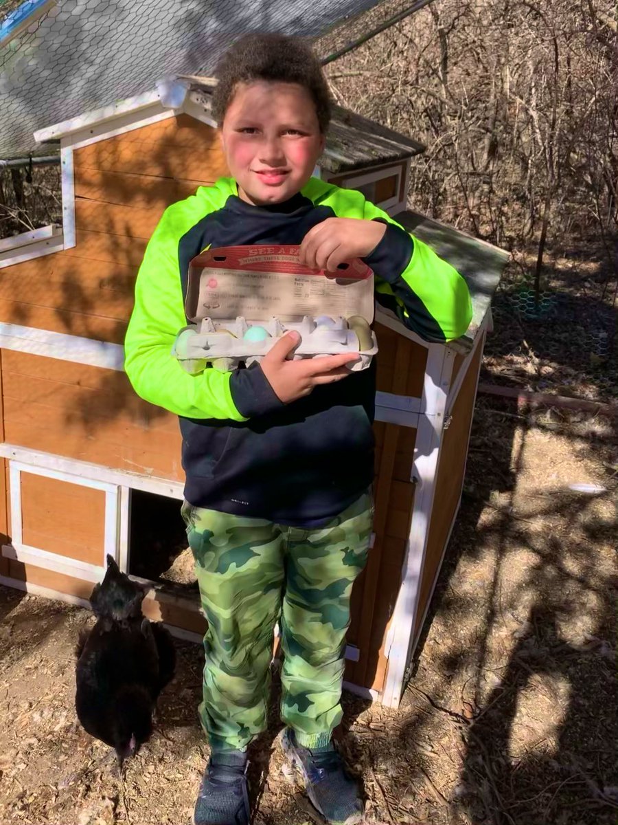 MrsWilson2004's tweet photo. Just day on the farm … I mean just another day at @EarhartUSD259! I stopped by to check on the chickens and a student offered to collect the eggs. He collected 14 in all! That’s what happens when you’re playing disc golf at the right time! #MagnetFocus #WPSProud #omelette https://t.co/8jSWnLkJjx