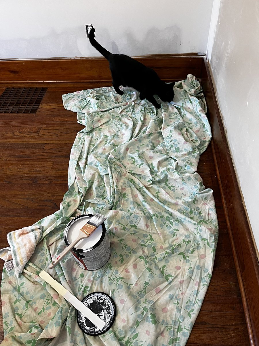 JenJoy's tweet photo. With the help of a black cat, I've started my part of the closet remodel. There's still so much drywall dust 😫 #blackcatsrule #painting #lightassembly https://t.co/LiIC31fr8e