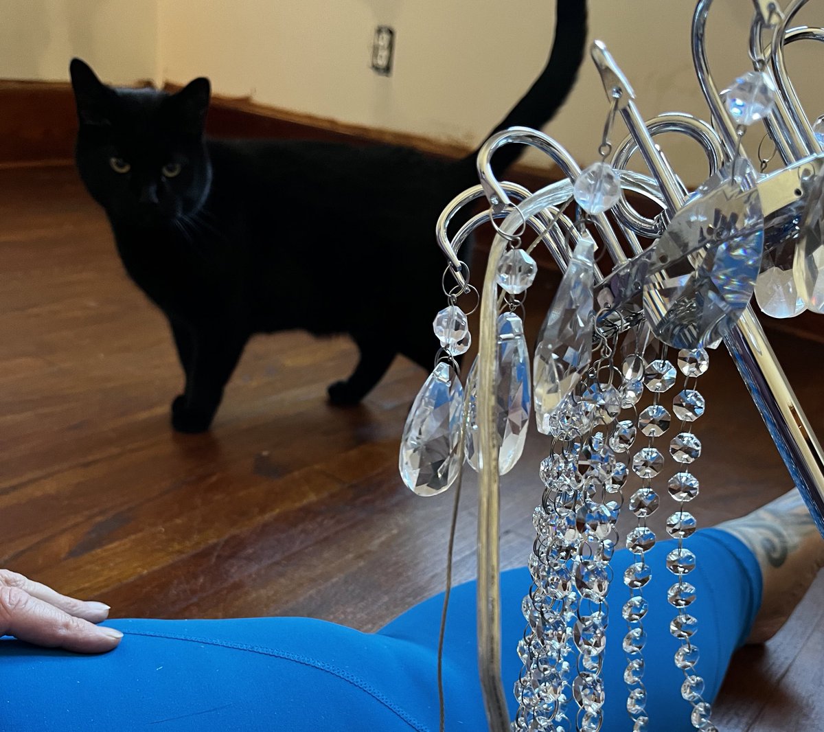 JenJoy's tweet photo. With the help of a black cat, I've started my part of the closet remodel. There's still so much drywall dust 😫 #blackcatsrule #painting #lightassembly https://t.co/LiIC31fr8e