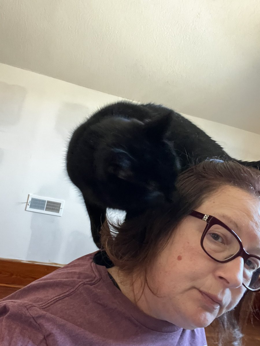 JenJoy's tweet photo. With the help of a black cat, I've started my part of the closet remodel. There's still so much drywall dust 😫 #blackcatsrule #painting #lightassembly https://t.co/LiIC31fr8e