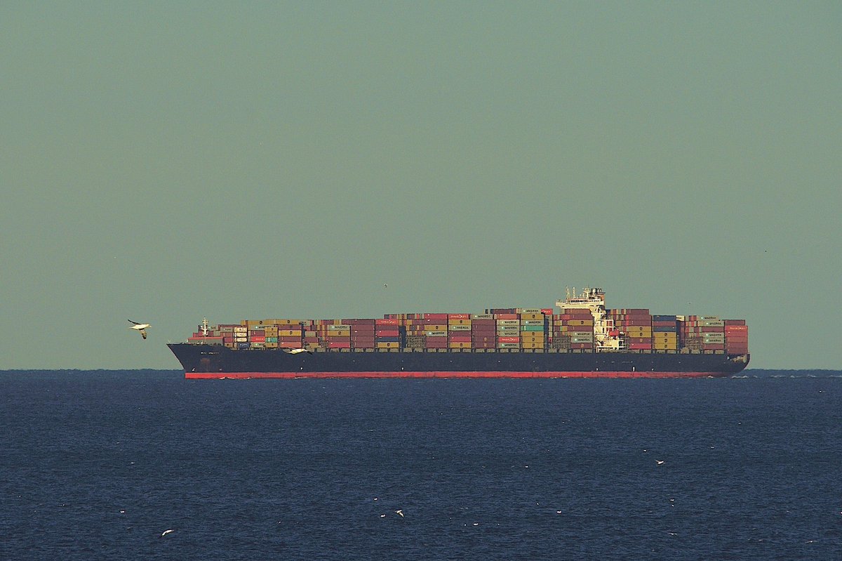 johnmorgan726's tweet photo. The MSC UBERTY, IMO:9337444 en route to Baltimore, Maryland @BShipspotting @BaltoChes flying the flag of Liberia π±π·. #MSCUberty #ContainerShip #ShipsInPics https://t.co/Ruvyxo7HZr