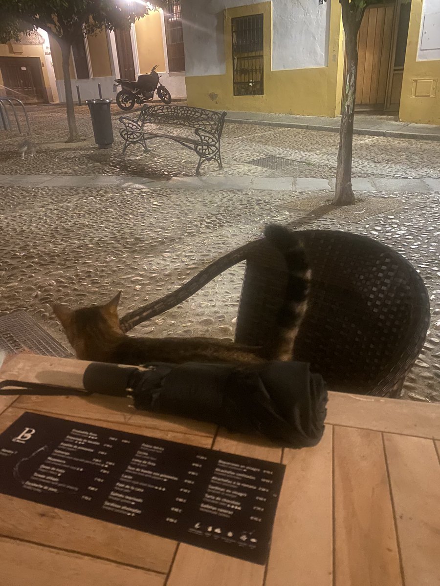 Jamie Jones tweet media