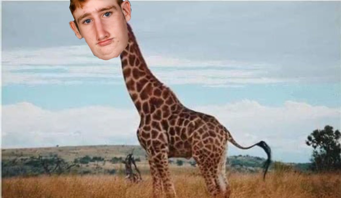 You were all wrong. It‘s a gregiraffe!🌚