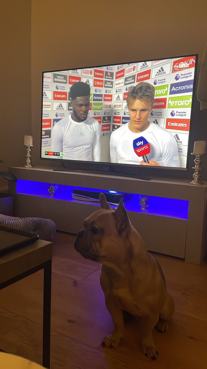 Guys I got a new TV