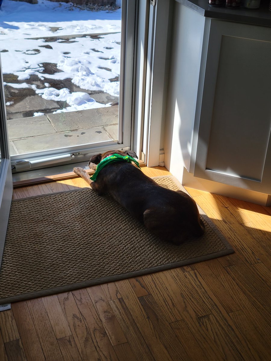 josh_kehler's tweet photo. @BarstoolBigCat  sun spot remains undefeated https://t.co/Htk4McU8p4
