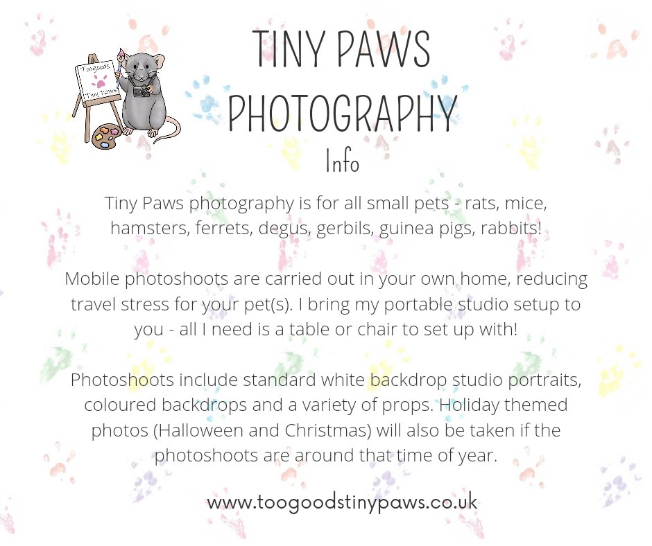 steffxrs's tweet photo. I'm a mobile small pet photographer! I will travel anywhere in the country to take studio style photos of your small pet(s)

Head to my website for more info and to register your interest 🥰

https://t.co/pBEeRkWkd0 https://t.co/YHqBfExemM