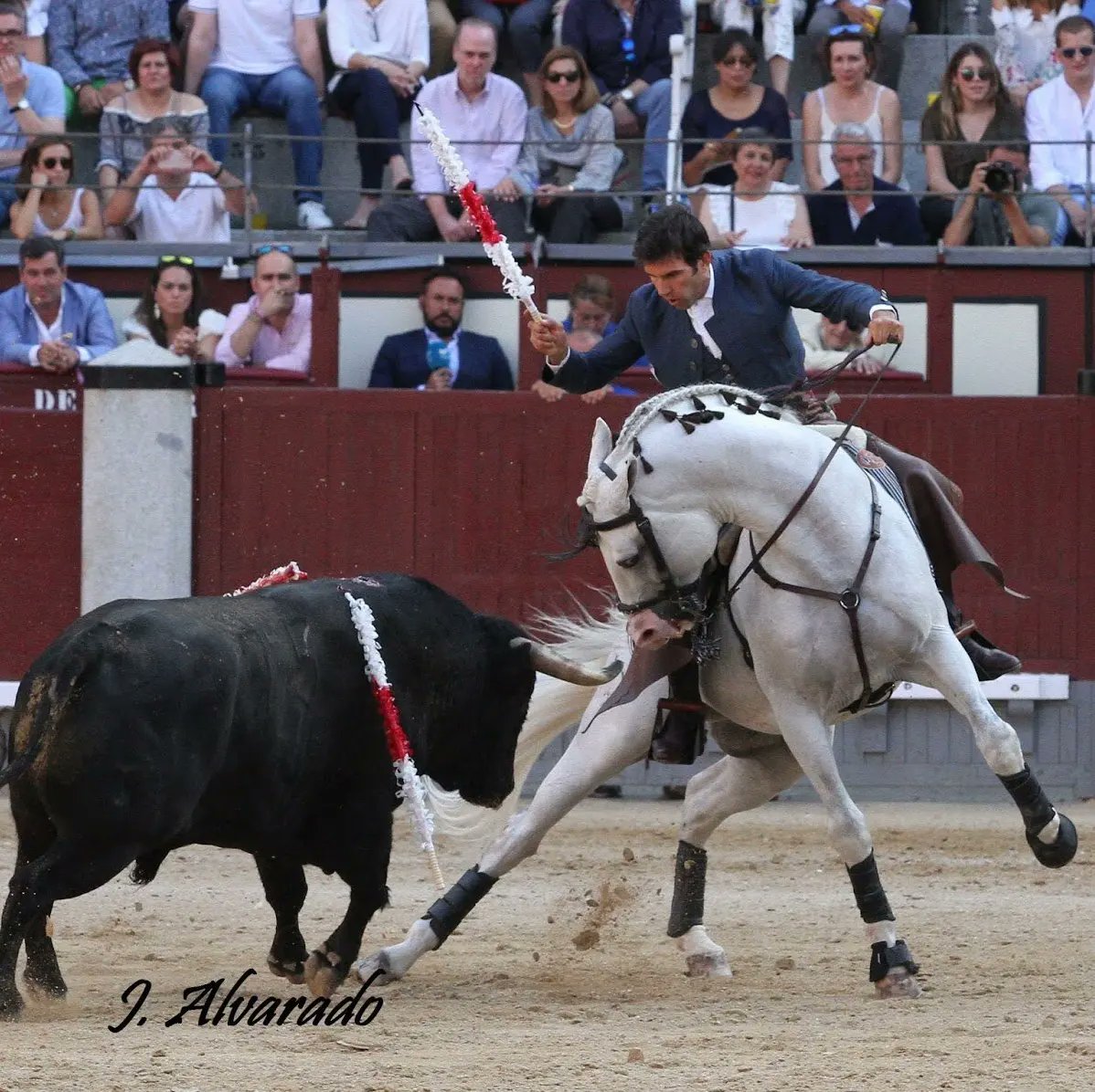 𝐋ᴀᴜʀᴀ 𝐆ᴀʟáɴ ⚔️🇪🇸 tweet media