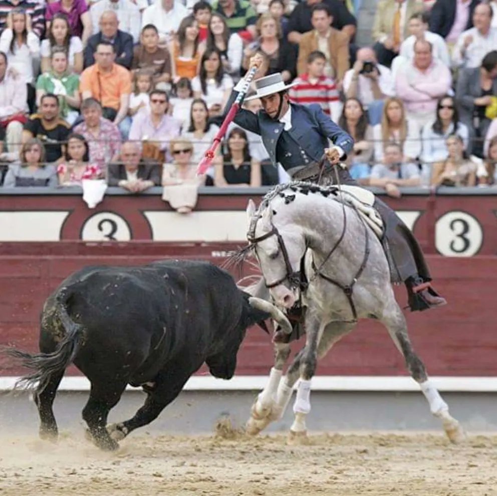 𝐋ᴀᴜʀᴀ 𝐆ᴀʟáɴ ⚔️🇪🇸 tweet media