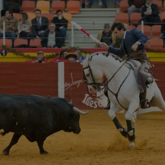 𝐋ᴀᴜʀᴀ 𝐆ᴀʟáɴ ⚔️🇪🇸 tweet media