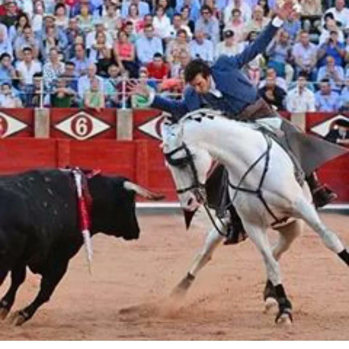 𝐋ᴀᴜʀᴀ 𝐆ᴀʟáɴ ⚔️🇪🇸 tweet media