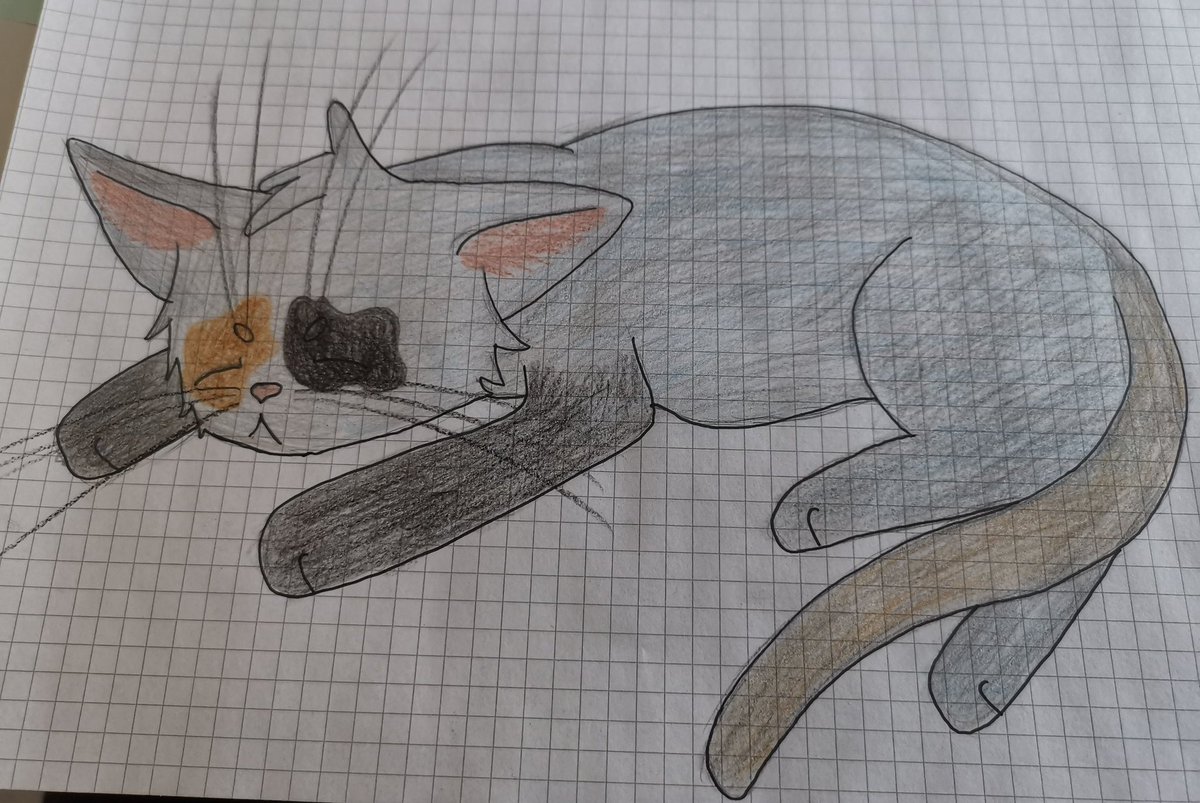 KadseVT's tweet image. I draw something last week. 👀

#cat #draw #drawing #Warriors