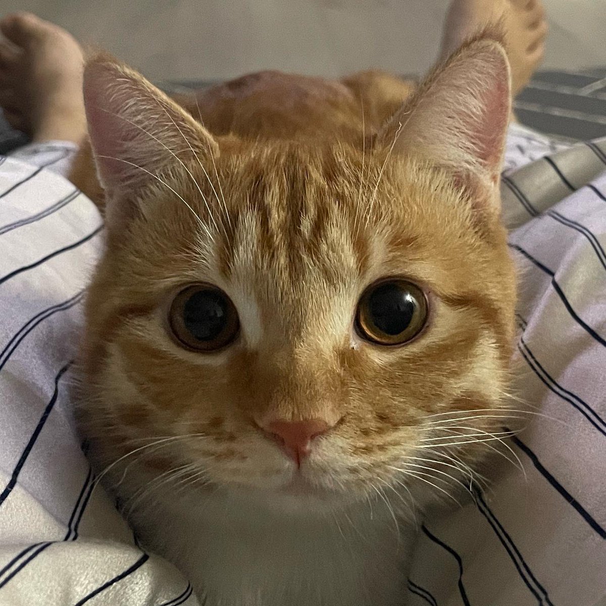 😍
