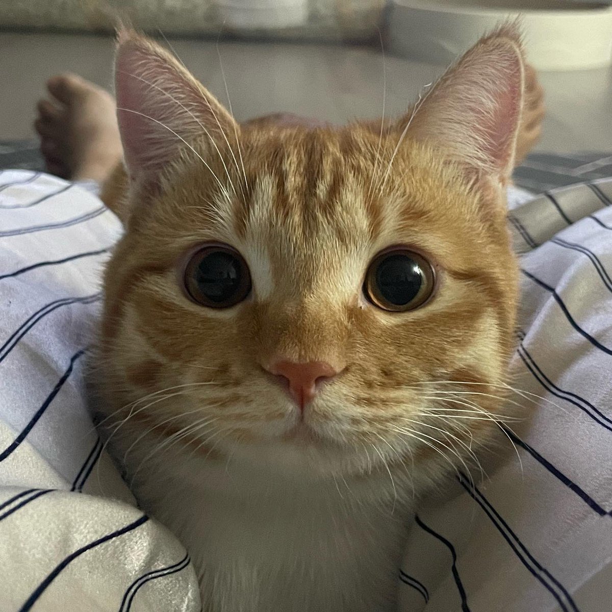 dongggeul's tweet photo. 😍 https://t.co/UeSrvOjUfY