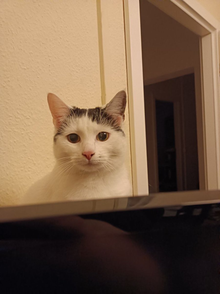 skotnik_philipp's tweet image. #CLT2022 

Und damit sind meine ersten CLT als Teil des Orga-Teams vorbei. 

War richtig spaßig die Veranstaltung mit auf die Beine zu stellen 

Auch von Amy soll ich ein bis 2023 ausrichten ;)