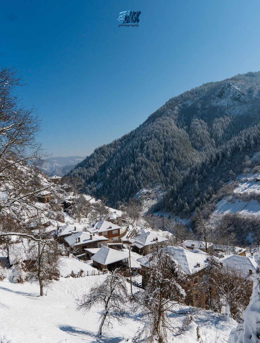 Nature and animals / Bulgaria (@chilikov91) on Twitter photo 