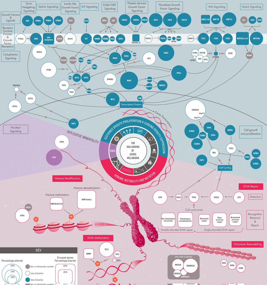 Chloe Rodgers tweet media