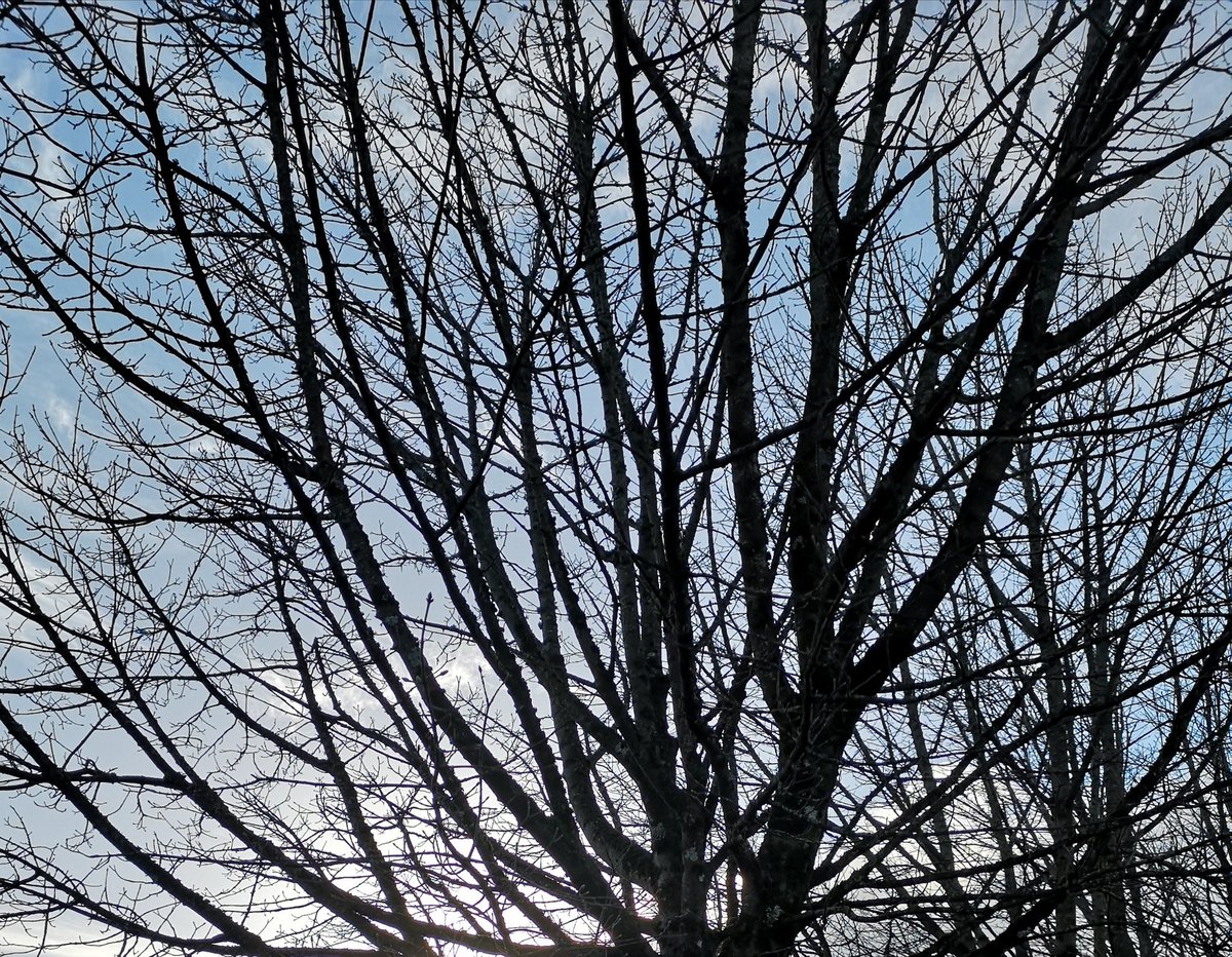 Masonbrook's tweet photo. Day 71 &amp; 72 #100daysofwalking2022 #round2crew forgot to post yesterday, got lost in corrections @eacbhaile29  🙈, nearly there, hope everyone enjoyed the weekend, serious rain 🌧️ https://t.co/34GCPDzU87