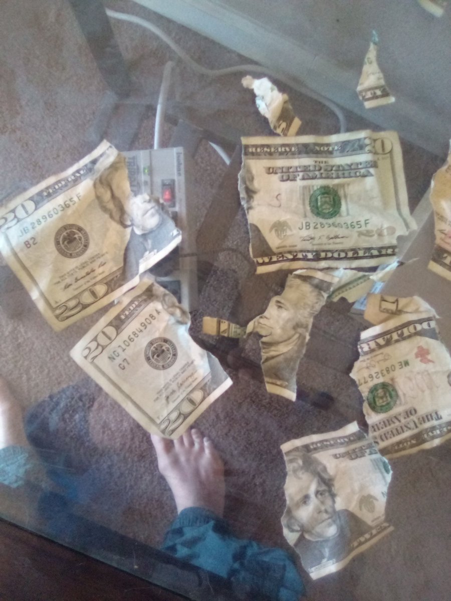 PaulHic1's tweet photo. My puppy had $60 for breakfast this morning https://t.co/9IN6SJZsdY