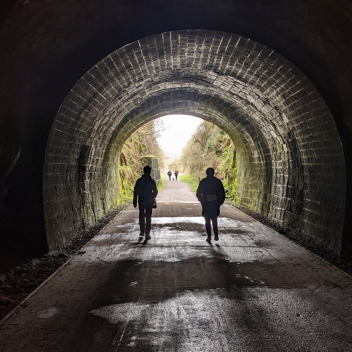 James Taylor tweet media