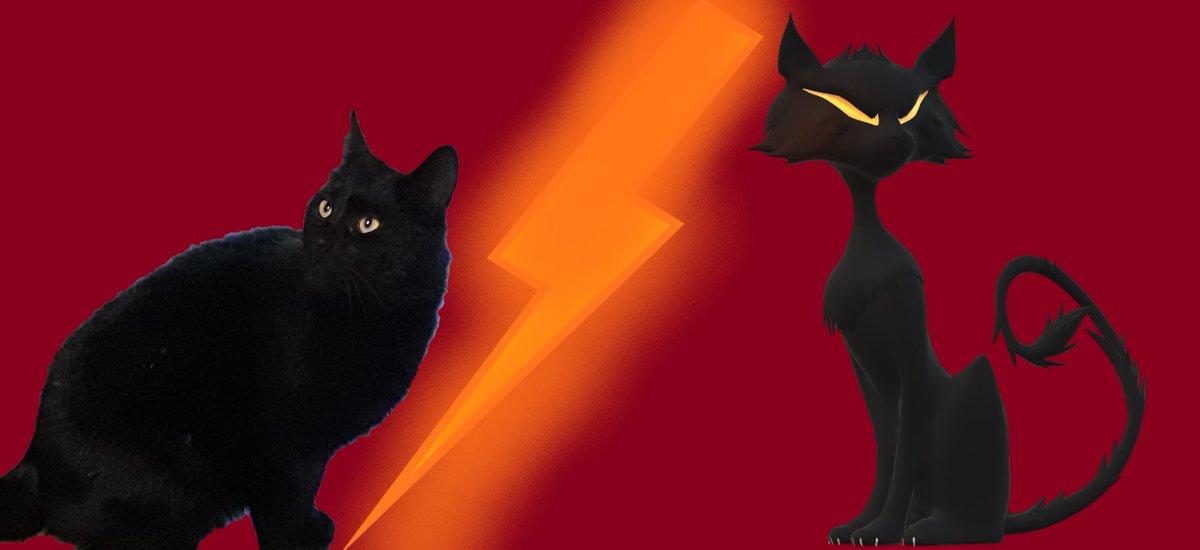 catdesigner9 tweet media