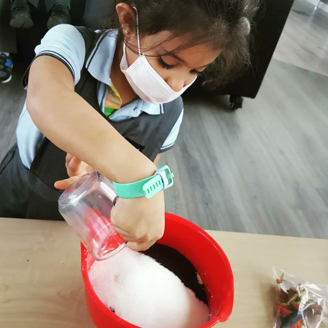 Samira Jamil tweet media