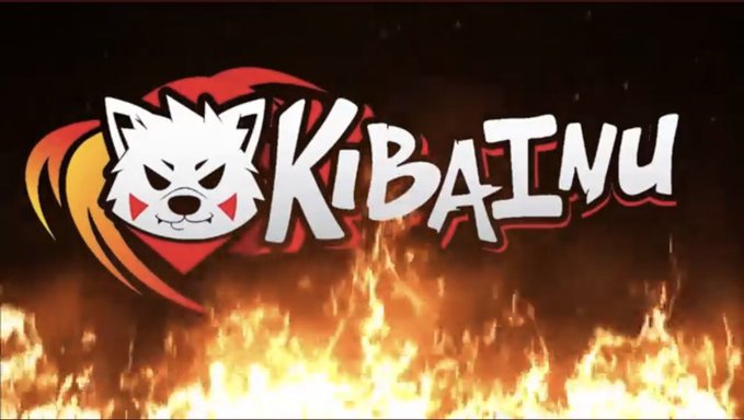 bernie55508's tweet photo. $kiba is the next gem. Welcome aboard! 

$kiba #kiba #kibainu #kibarmy #kibakrew @KibaInuWorld https://t.co/2ibb5ZB44i