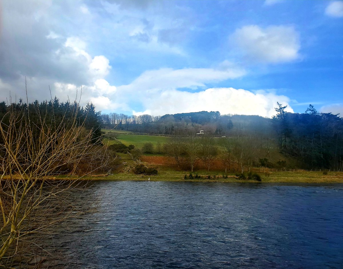 blonde_on_bikes's tweet photo. Managed to catchyhd best of the day out along the river tweed @Sedgeburn #melrosepaths #scottishborders #baw #rivertweed #Sundaywalk https://t.co/nWqriUkmI2