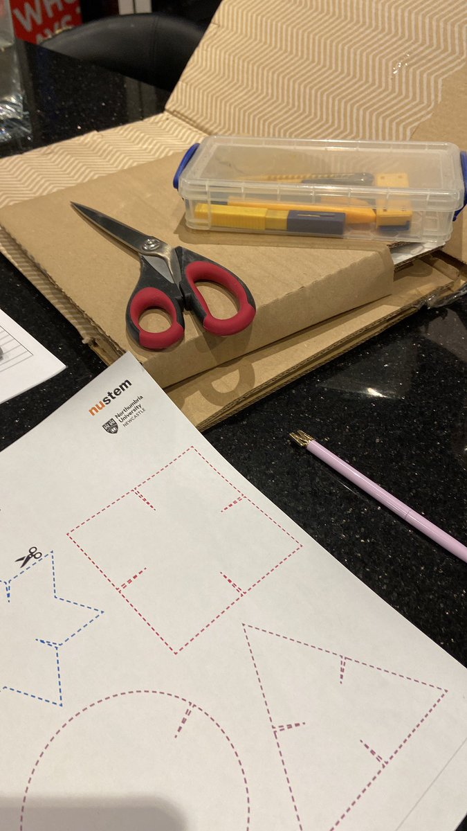 BillyBobbyBear's tweet photo. Bobby and Billy are getting ready for STEM week! What are reception going to be getting up to? https://t.co/hfFFiNAYHW