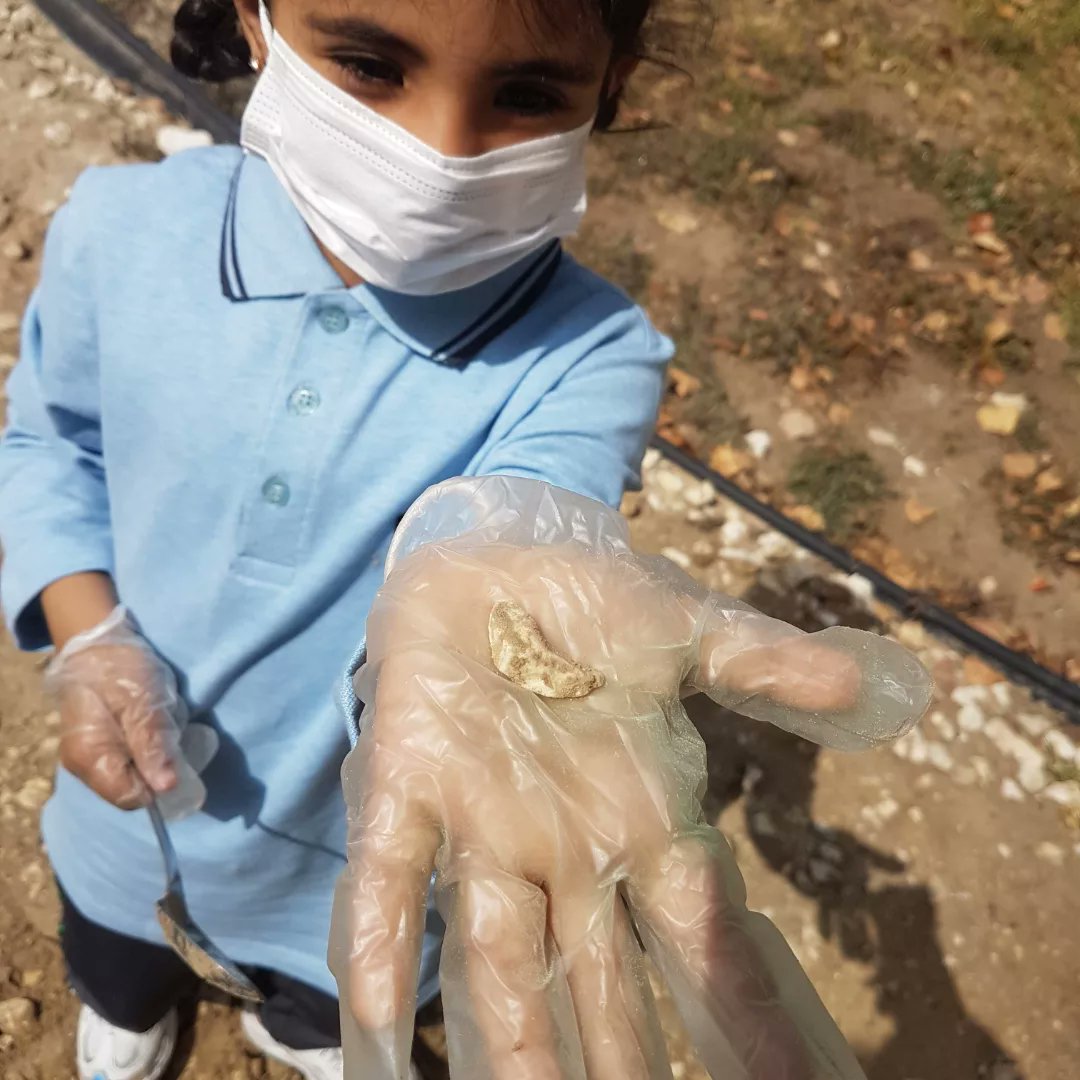 Samira Jamil tweet media